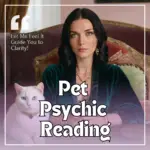 Pet Psychic Reading – Understand What Your Pet is Thinking